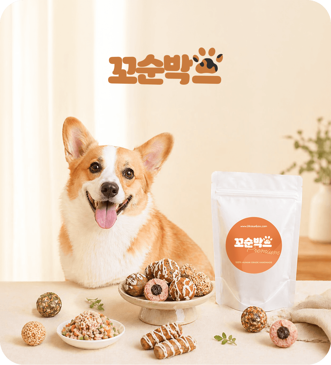 꼬순박스 배너