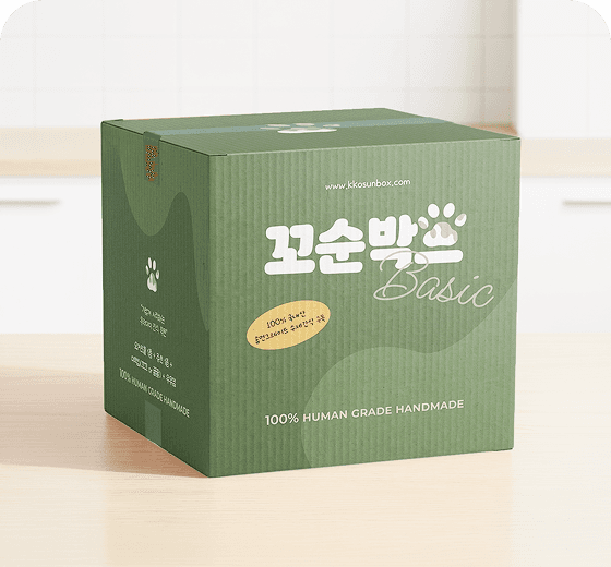 베이직 패키지 BOX