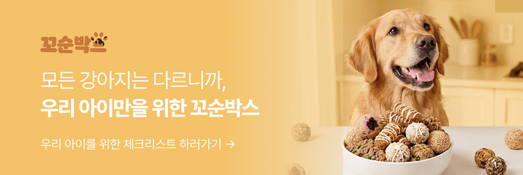 꼬순박스 배너