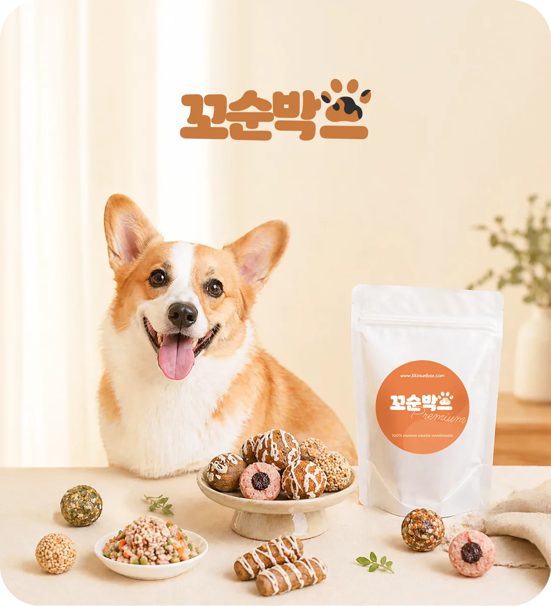꼬순박스 배너