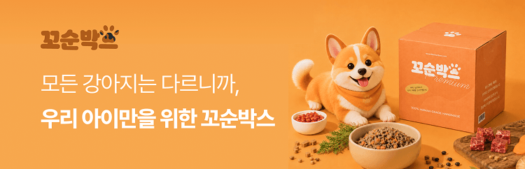 꼬순박스 배너 — 체크리스트 작성하러 가기