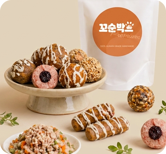 꼬순박스 간식과 패키지