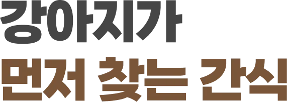 강아지가 먼저 찾는 간식