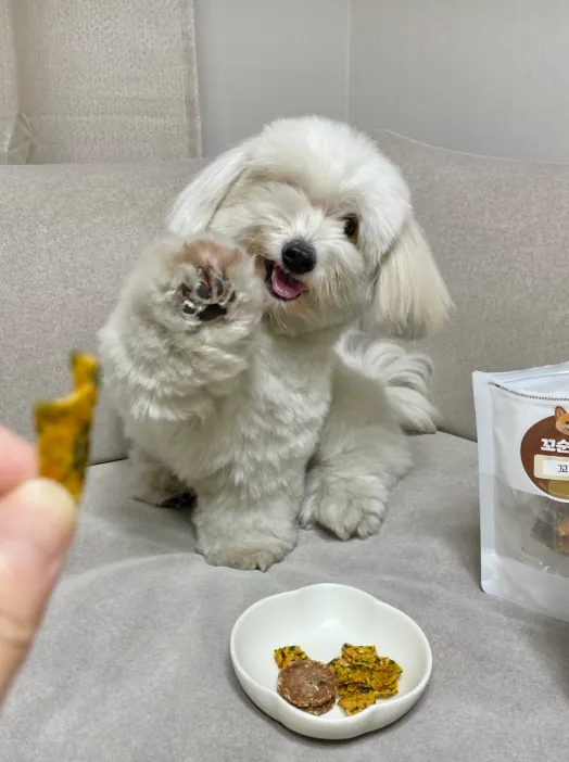 5번 리뷰 사진