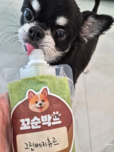 9번 리뷰 사진