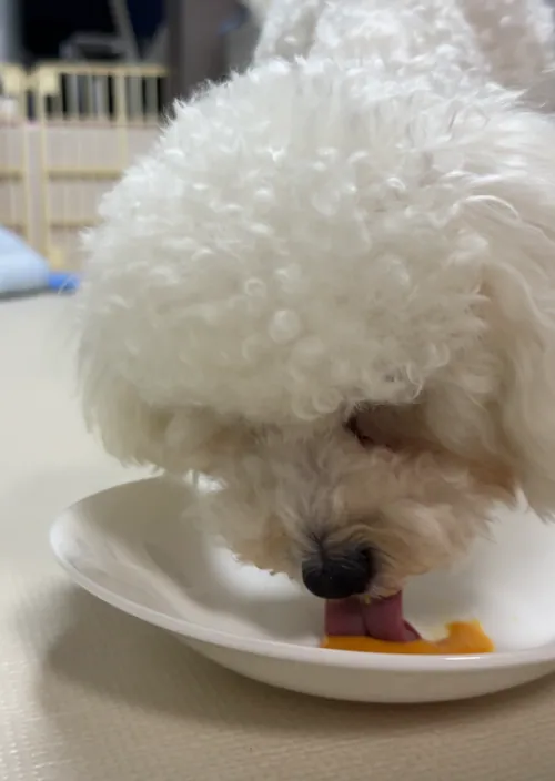 13번 리뷰 사진