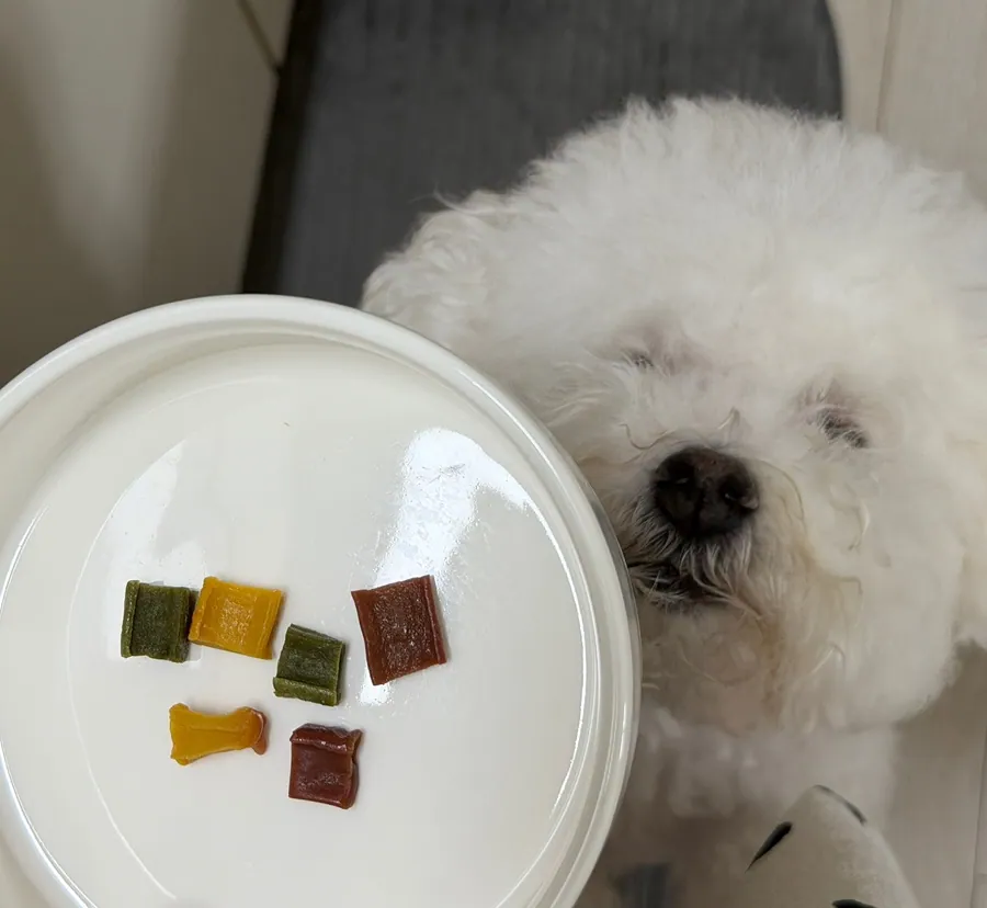 15번 리뷰 사진